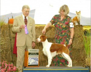 Champion Petty Training dogs for conformation competition